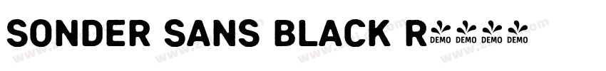 Sonder Sans Black R字体转换